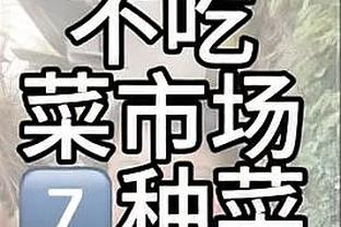 开云最新app下载安装最新版截图4